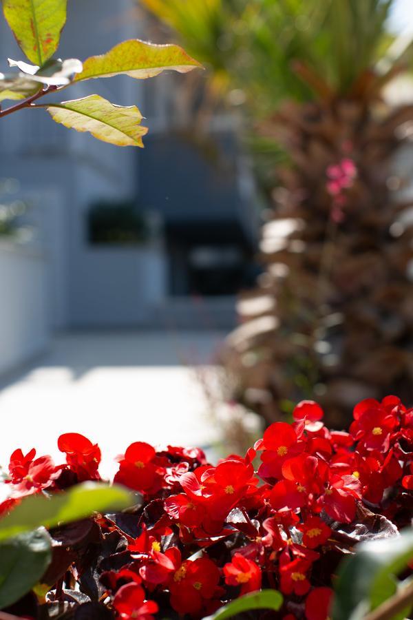 Saint Lucas Suites Νέα Ποτίδαια Εξωτερικό φωτογραφία